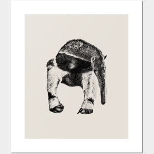 Giant anteater Posters and Art